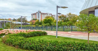 Профессиональное озеленение улиц в Новотроицке в октябре