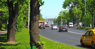 Посадка деревьев и кустарников в Новотроицке — стоимость от 1256 руб.